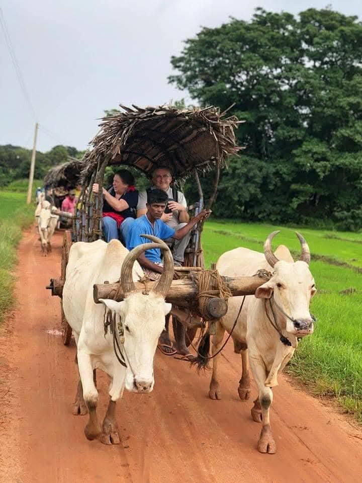 Bullock Cart Ride