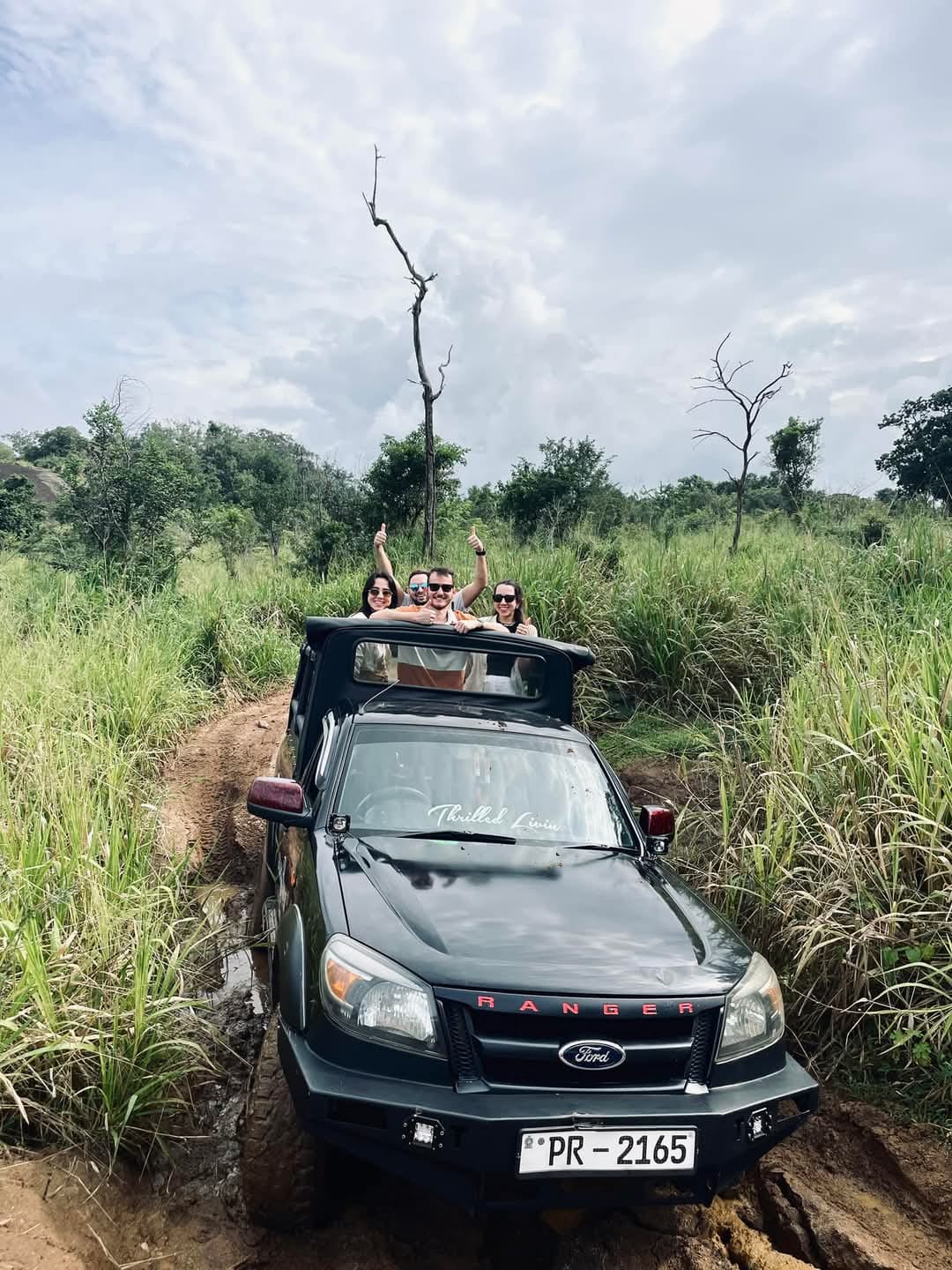Safari Jeep