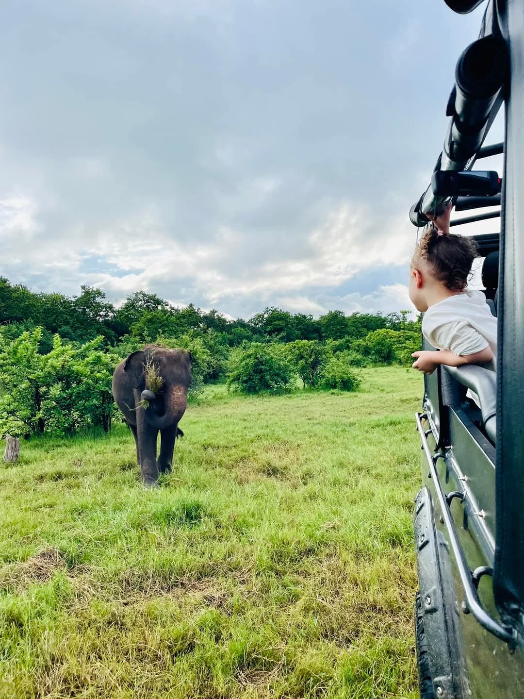 Jeep Safari